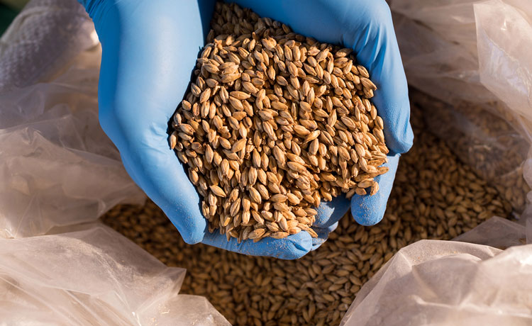 sacos de rafia en industria hortofrutícola