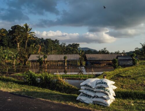 Comprar sacos de rafia: ¿qué aspectos se deben tener en cuenta?